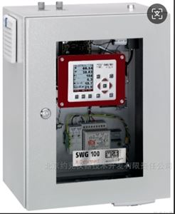 固定式非连续沼气分析仪