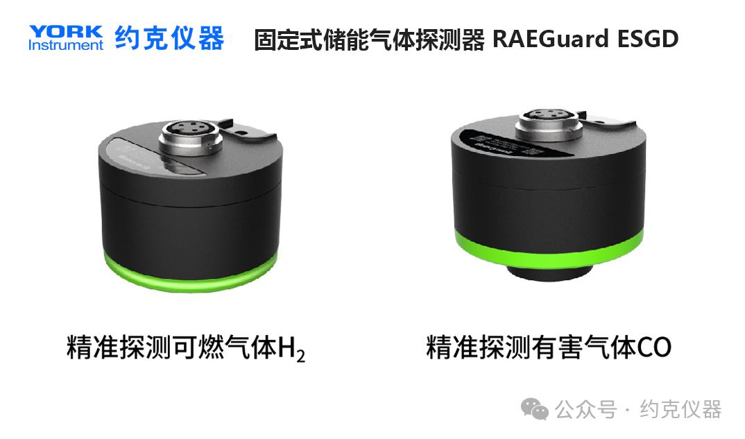 新品速递--储能气体探测器RG ESGD