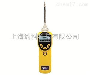 VOC 检测仪 MiniRAE 3000