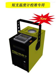 Pegasus-T高温短支传感器校验炉